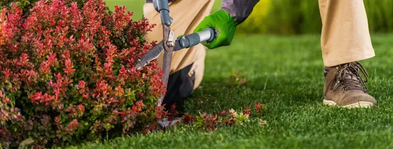Întreținere ecologică spații verzi – servicii profesionale de mentenanță pentru companii