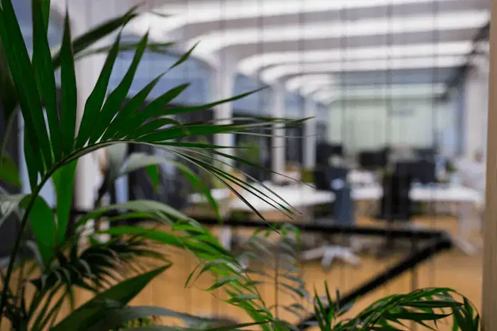 Birou modern cu plante verzi – soluții de peisagistică pentru spații de lucru productive și sănătoase