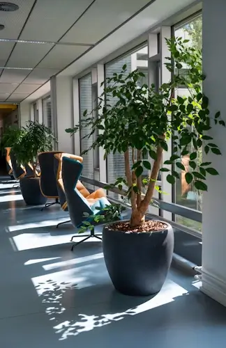 Diminuarea costurilor de înlocuire a plantelor