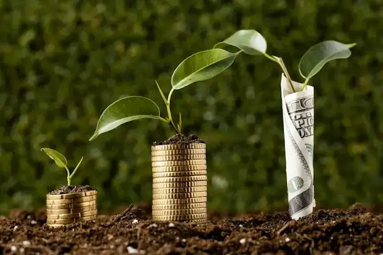Peisagistică eficientă financiar – soluții de optimizare a costurilor pentru spații verzi