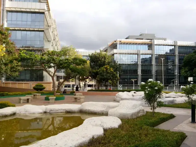 Peisagistică sustenabilă și ecologică pentru companii – ecosisteme verzi durabile și non-toxice, Verdara