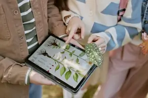 Consultanță analiză și optimizare spații verzi Verdara