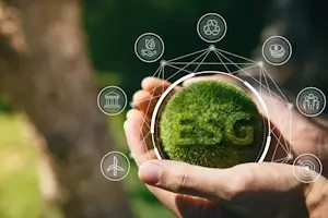 Consultanță sustenabilitate și ecologie Verdara