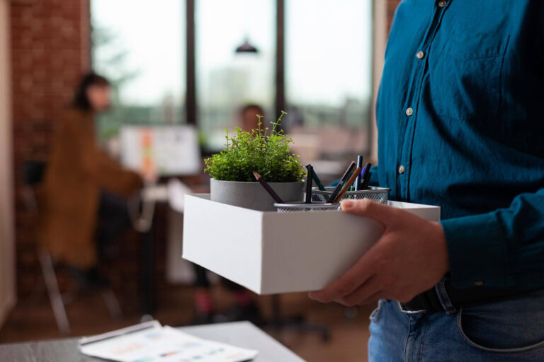 5 Moduri concrete în care plantele cresc productivitatea la birou