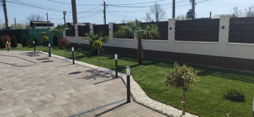 Grădină cu gazon, palmieri, bordură piatră albă lângă pavaj