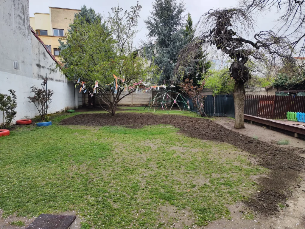 Pregătire top dressing și însămânțare în curte interioară, Proiect Verdara