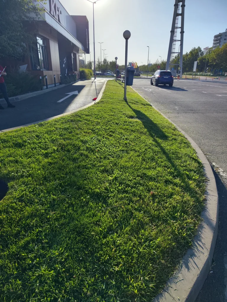 Spațiu verde paralel cu clădirea KFC drive-thru