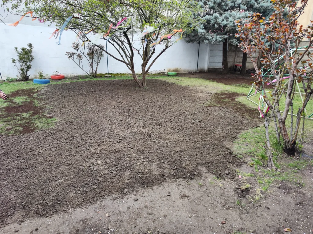 Plan extins cu top dressing în zonele cu gazon rar și însămânțare efectuată pe zonele cu goluri.