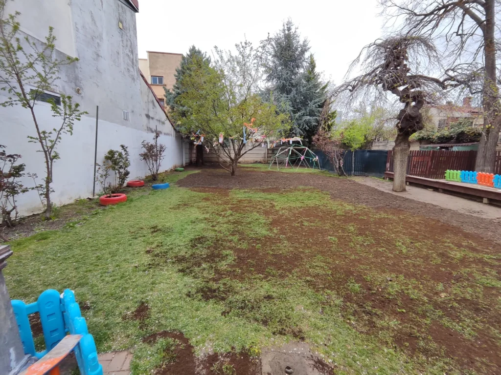 Aplicare top dressing pe suprafața gazonului în curtea interioară și însămânțare locuri goale