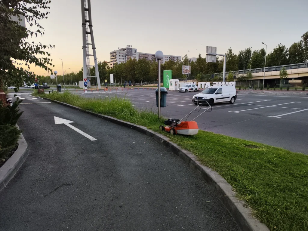 Rebilitare spațiu verde cu gazon înalt în parcare comercială