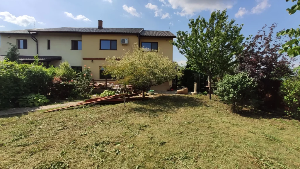 Grădină rezidențială după curățarea inițială a vegetației, iarba tunsă scurt, după prima etapă de defrișare.