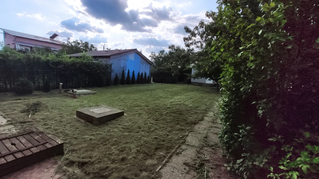 Grădină rezidențială după prima etapă de curățare (cosire).