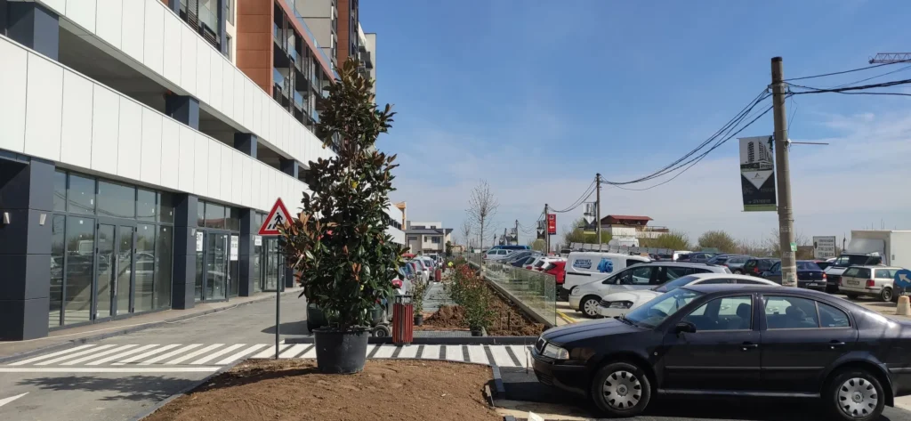 Magnolia și gard viu Photinia lângă parcarea complexului.