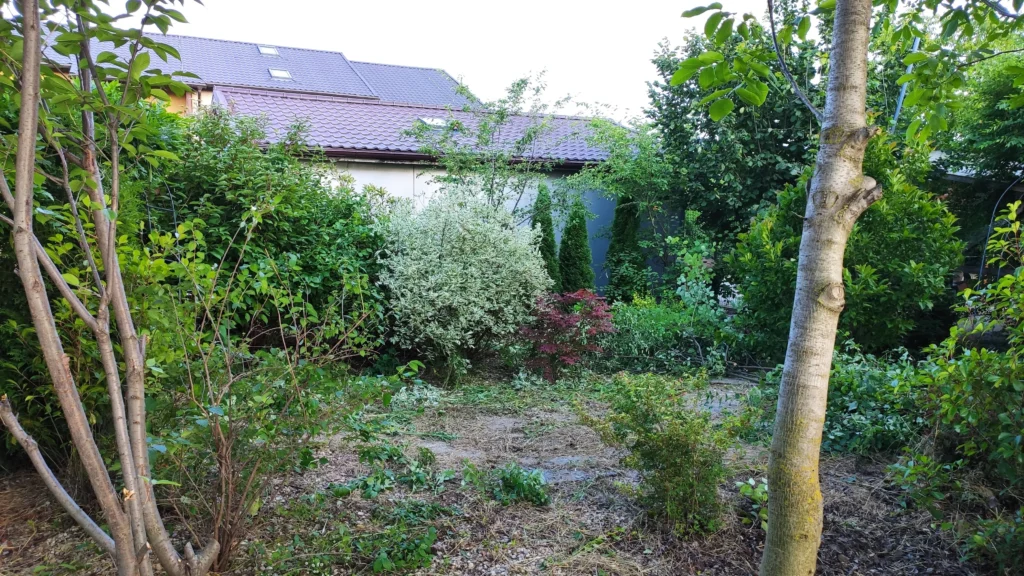 Necesitatea toaletării și curățării vegetației uscate într-o grădină rezidențială, proiect de reabilitare Verdara.