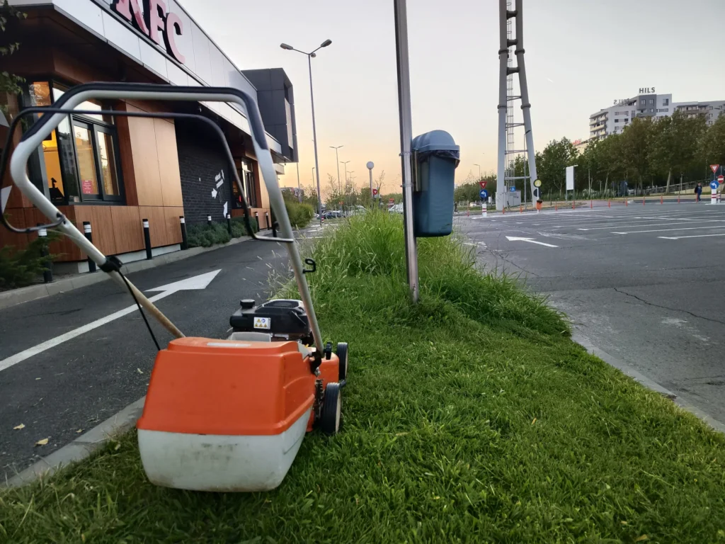 Peluza neglijata în curs de reabilitare