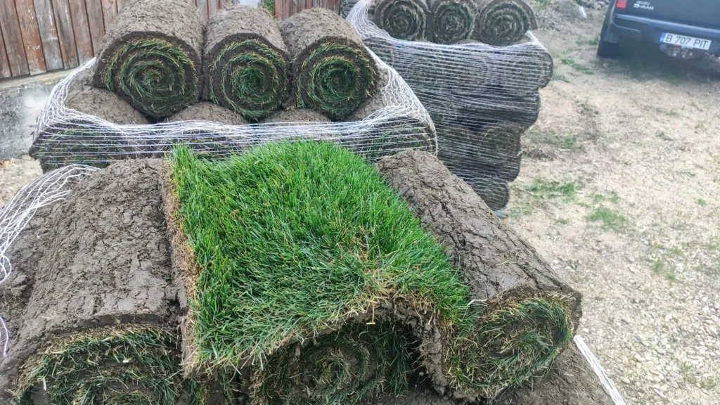 Rulouri de gazon natural pe paleți, material pregătit pentru montajul rapid în proiectul de reabilitare Verdara Solutions.