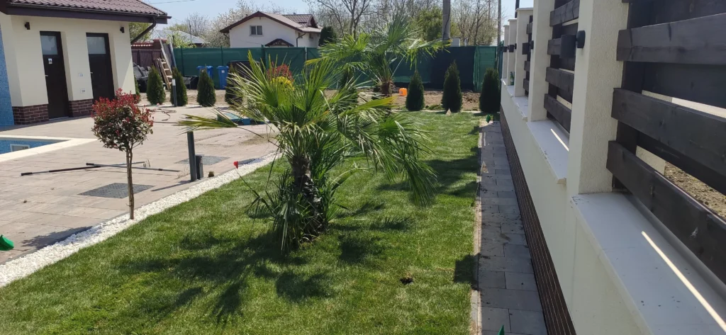 Palmieri și gazon într-o grădină rezidențială amenajată modern