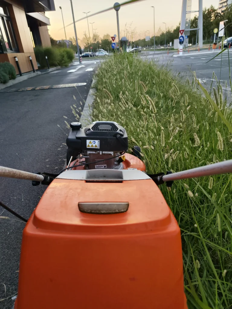 Peluza neglijata într-o zonă comercială în curs de reabilitare Verdara
