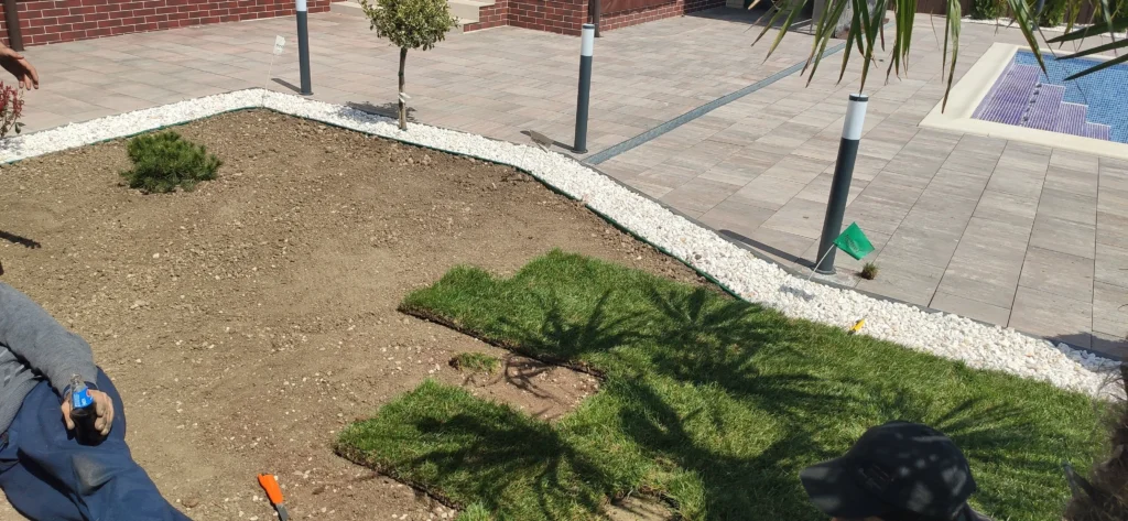 Instalare gazon rulou lângă bordură cu piatră decorativă albă