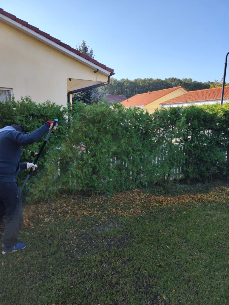Adunarea resturilor vegetale