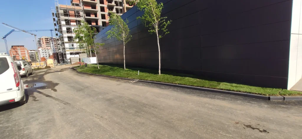 Gazon și mesteceni plantați lângă perete clădire, amenajare Verdara