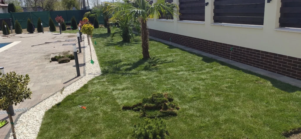 Amenajare cu rulouri de gazon si plante exotice