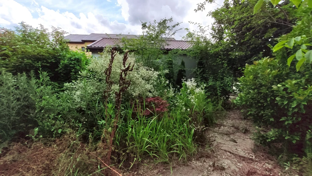 Vegetație luxuriantă, dar neîngrijită, necesitând toaletare și defrișare în cadrul proiectului de reabilitare.