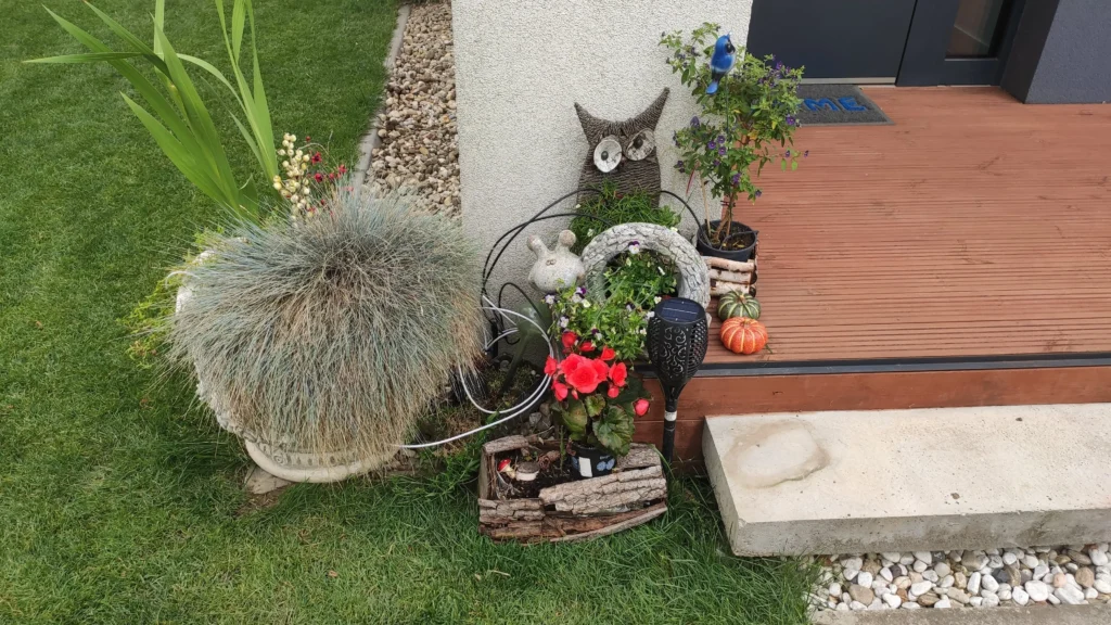 Plante decorative în ghivece irigate automat cu micro picurare.