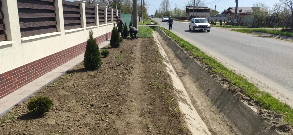 Teren pregătit pentru gazonare cu rulouri lângă stradă și șanț
