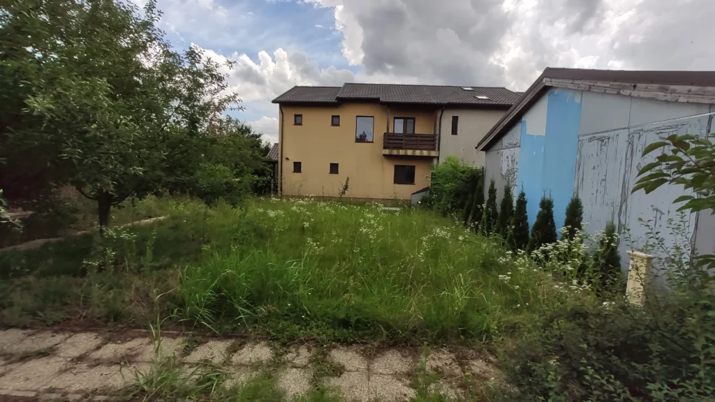 Zonă de grădină rezidențială neîntreținută, cu vegetație spontană și buruieni, situația inițială a proiectului Verdara.