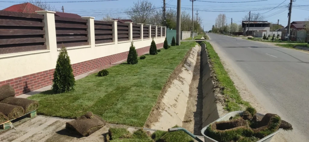Amenajare stradală cu gazon rulou, thuja smaragd si irigatii automate