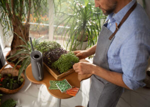 Close-up of a professional maintaining office plants.