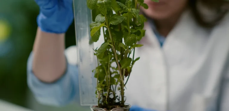 Aerul din birou îți afectează sănătatea? Soluția „Verde” validată de NASA pentru spații de lucru moderne